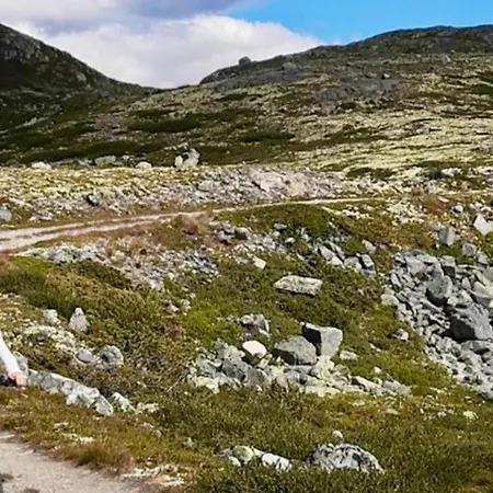 Mountain Retreat In Wifi Sauna * Uvdal