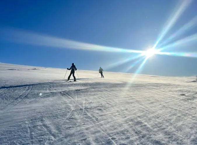 Mountain Retreat In Wifi Sauna * Uvdal
