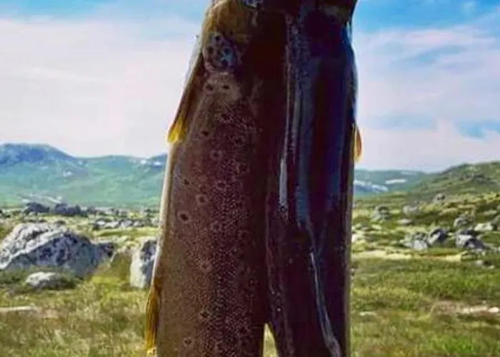 Appartement Mountain Retreat In Wifi Sauna