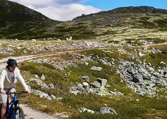 Mountain Retreat In Wifi Sauna * Uvdal