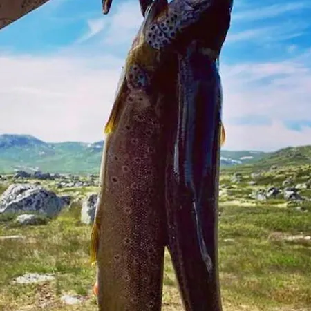 Апартаменты Mountain Retreat In Wifi Sauna